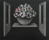 "La Nuit des Anemones"