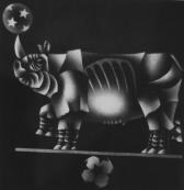 "Rhinoceros"