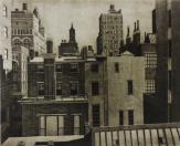 "Washington Square Vista"