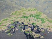 "Cherry Blossoms"  (ARTS AND CRAFTS)