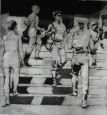 "Students on the Steps,1981"