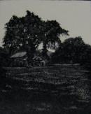 "In the Meadow" (Hampden, Massachusetts)