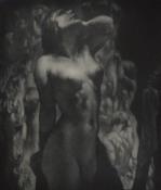 "The Model"