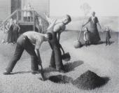 "Tree Planting Group"