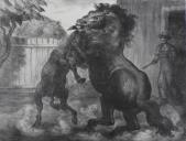 "Stallion and Jack Fighting"