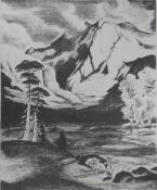 "The Rockies"