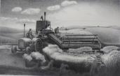 "Harvest'