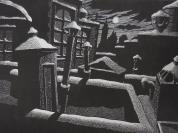 "Silent Shroud"