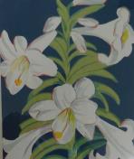 "The Easter Lily"