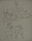 "Herd of Deer"