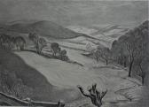 "Snowy Fields"