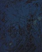 "Night Forest"