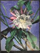 "Night Blooming Cereus #2 (ARTS AND CRAFTS)