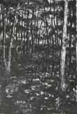 "Woods at Deerfield"