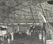 "Circus"
