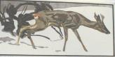 Deer in Snow    (ARTS AND CRAFTS)