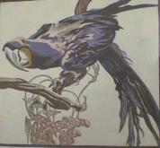 Parrot     (ARTS AND CRAFTS)