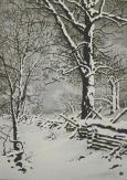 "Oaks in Winter, #2"