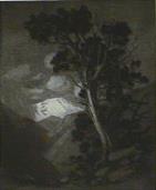 "Old Cedar and Pikes Peak"