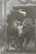 "Prize Stallions"