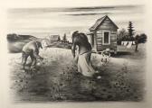 "The Harvest, South Carolina"