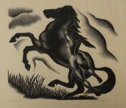 "Black Stallion"