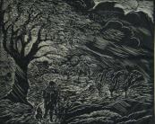"November Storm"