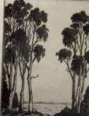 Tall Trees by the Lake"  (ARTS AND CRAFTS)