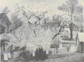 "Springtime"