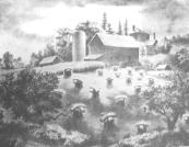 "The Wheatfield"