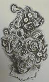 "Vase of Flowers"