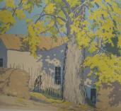"Home of a Spanish Cobbler"  (ARTS AND CRAFTS)