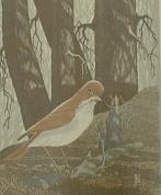 "Shy Veery"  (ARTS AND CRAFTS)