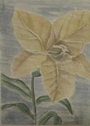 "Flower" Gold Version  (ARTS AND CRAFTS)