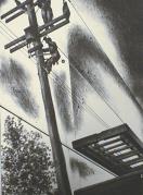 "Emergency Job" (After the Storm)