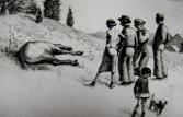 "The Old Gray Mare"