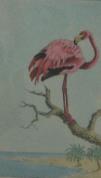 "Flamingo"  (ARTS AND CRAFTS)