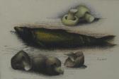 "Fish and Mushroooms"   (ART AND CRAFTS)