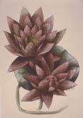"Pond Lillies"  (ARTS AND CRAFTS)