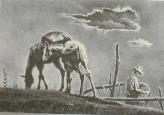 "Mare and Colt"