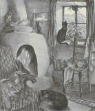 "Cat's Corner"