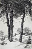 "Three Pines"   (ARTS AND CRAFTS)