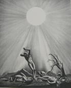 "Solar Flare Up"